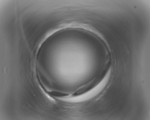 X0000083041525200702021138