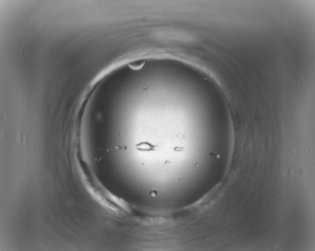 X0000083041526200702021138