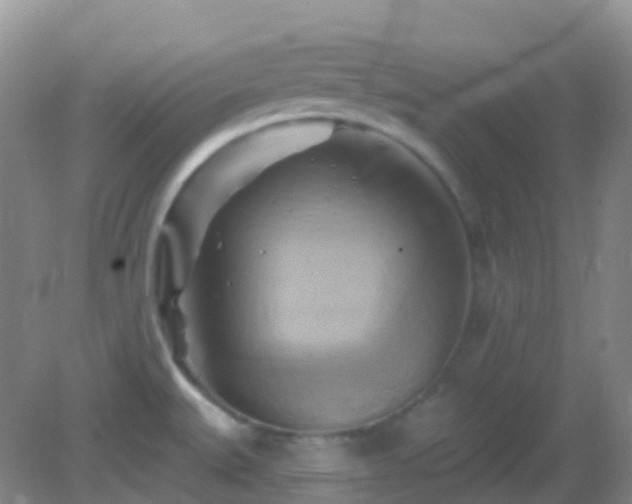 X0000083041527200702021138