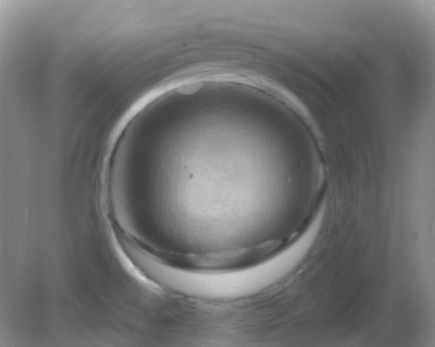 X0000083041528200702021139