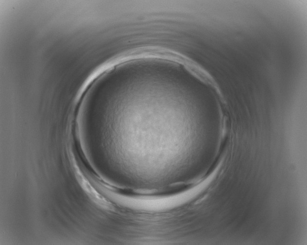 X0000083041530200702021139