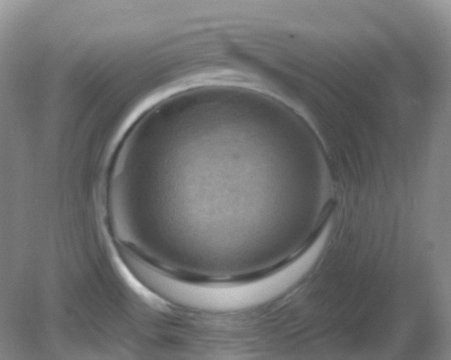 X0000083041531200702021139