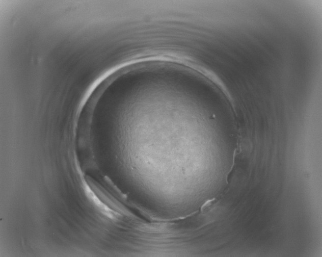 X0000083041532200702021139