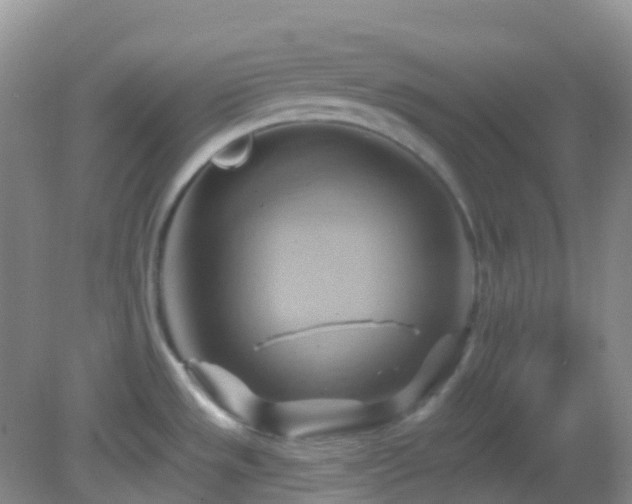 X0000083041533200702021139