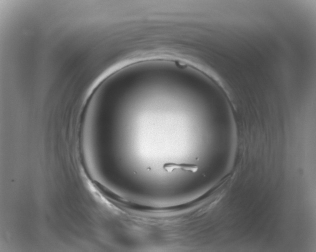 X0000083041534200702021139