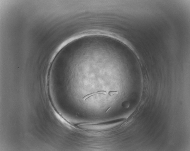 X0000083041535200702021139