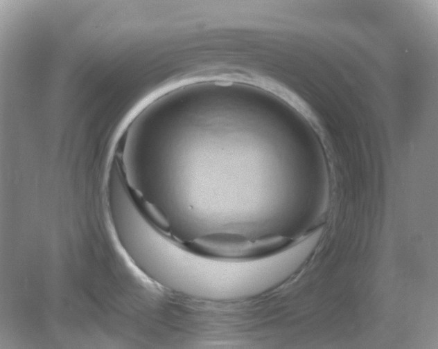 X0000083041536200702021139