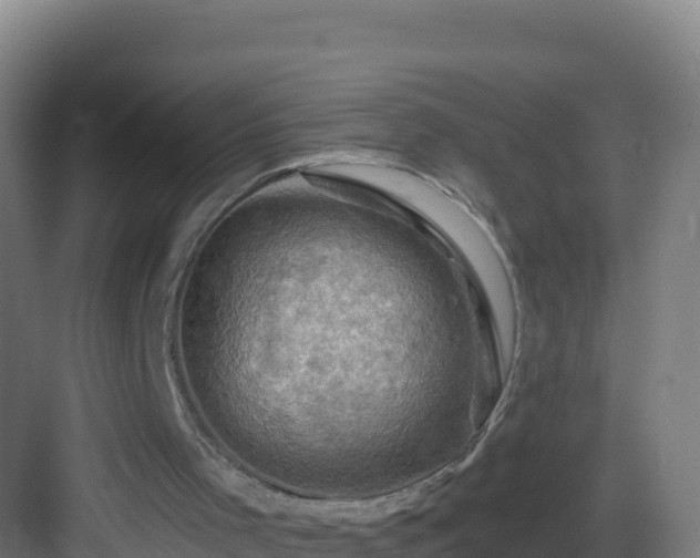 X0000083040001200702091421