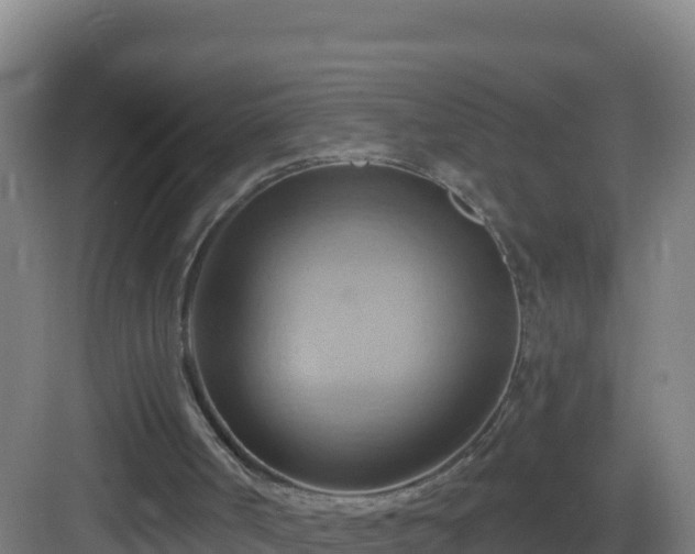 X0000083040002200702091421