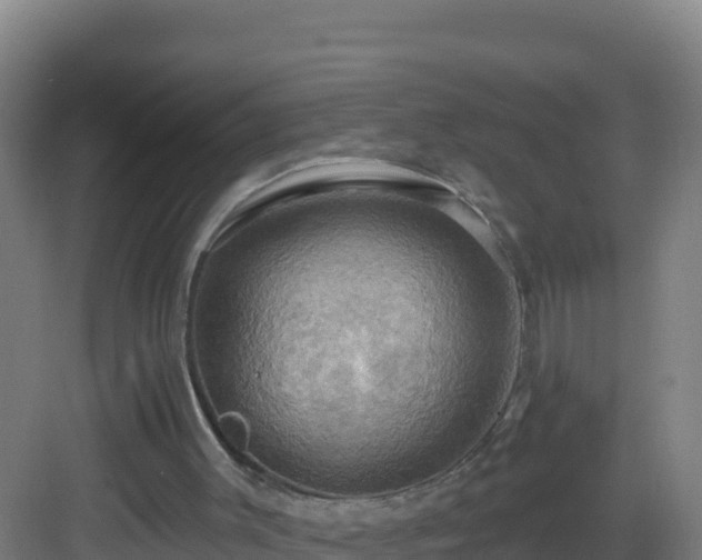 X0000083040003200702091421