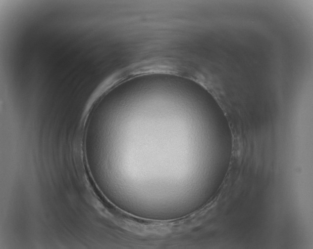 X0000083040004200702091421