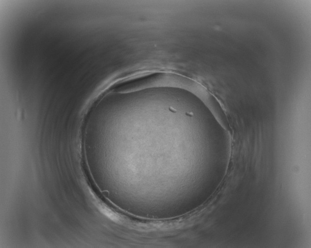 X0000083040005200702091421