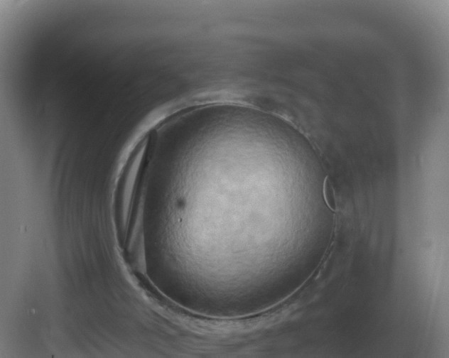 X0000083040006200702091421