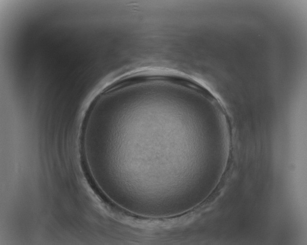 X0000083040007200702091421