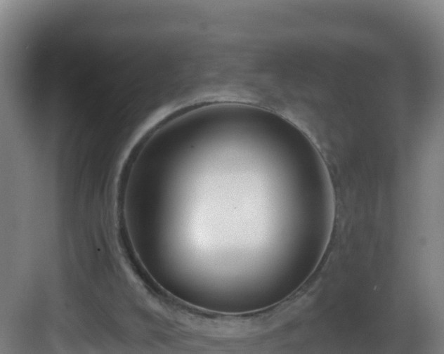 X0000083040008200702091421