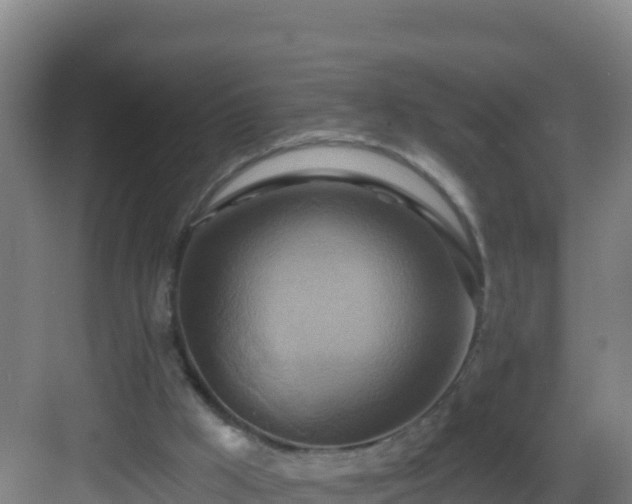 X0000083040009200702091421