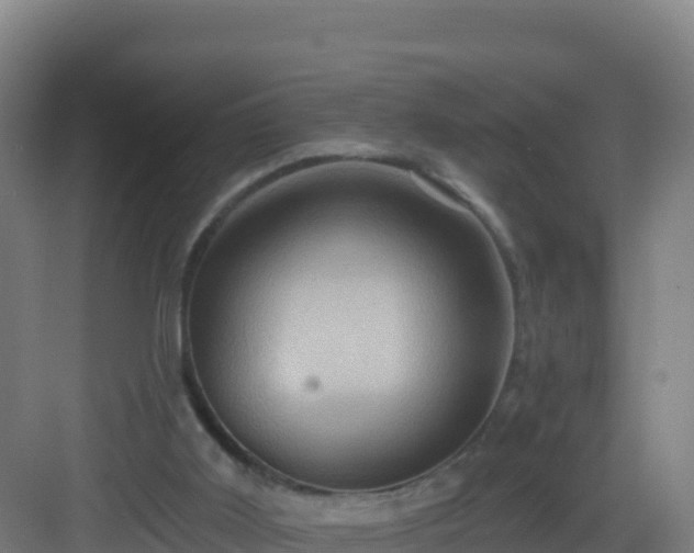 X0000083040011200702091421