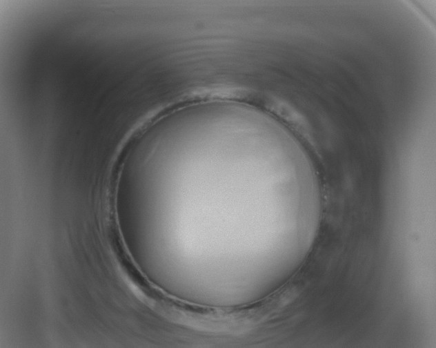 X0000083040012200702091421