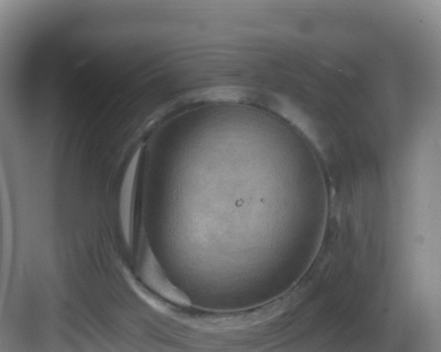 X0000083040013200702091421