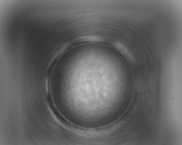 X0000083040014200702091421