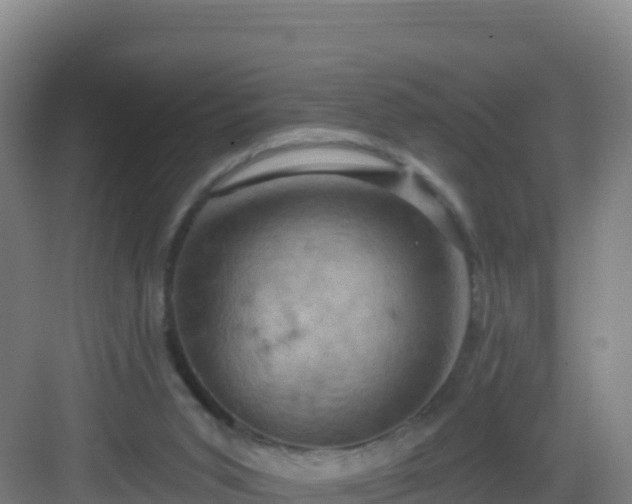 X0000083040015200702091421