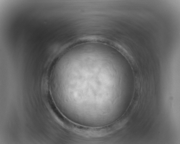 X0000083040016200702091421