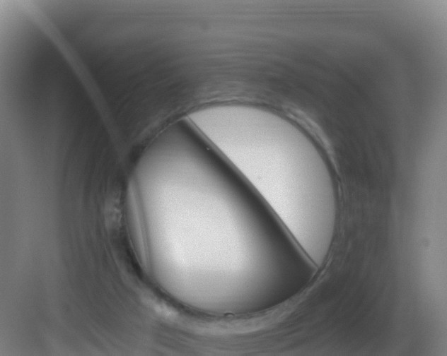 X0000083040017200702091421