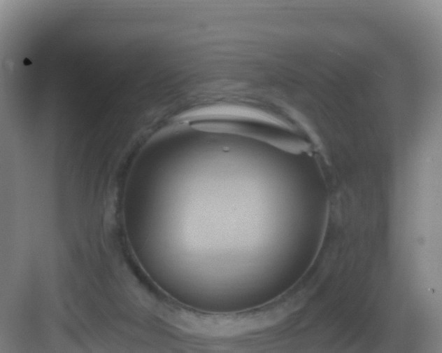 X0000083040018200702091421