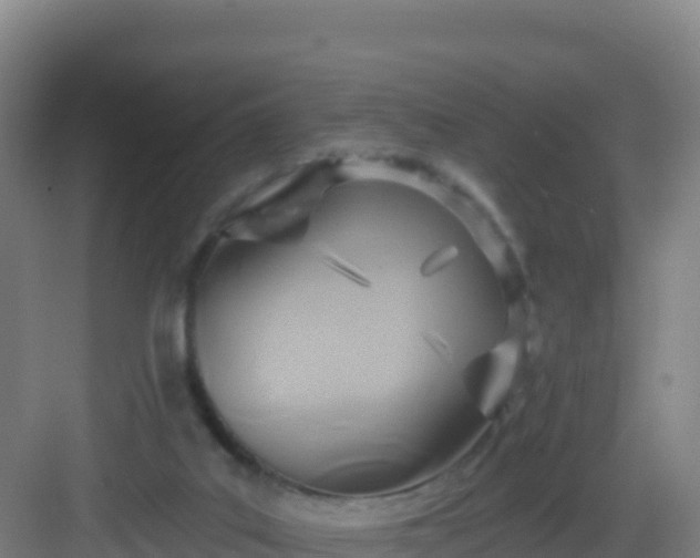 X0000083040019200702091421