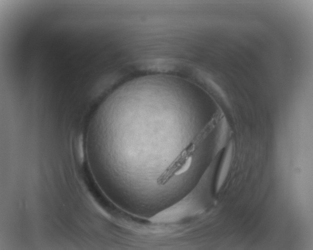 X0000083040020200702091420