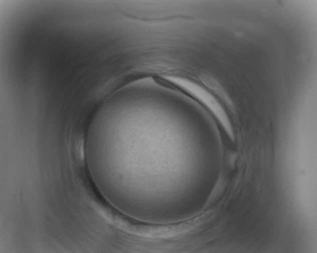 X0000083040021200702091420