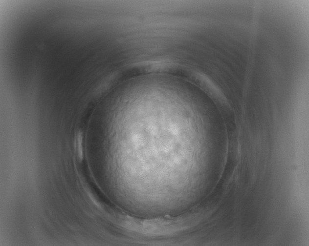 X0000083040022200702091420