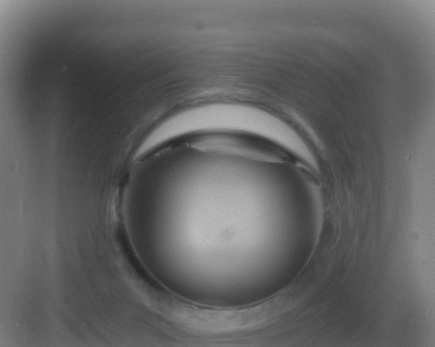 X0000083040023200702091420