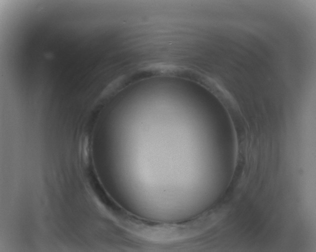 X0000083040024200702091420