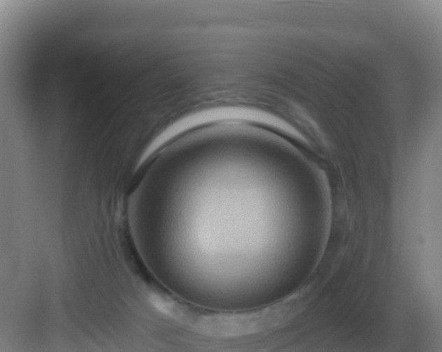 X0000083040025200702091420