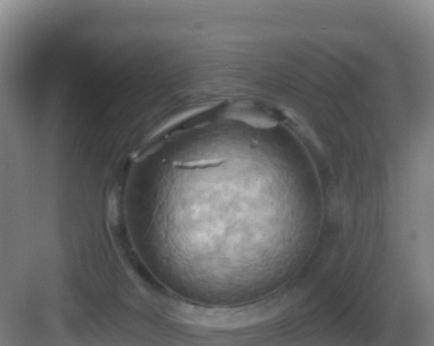 X0000083040026200702091420