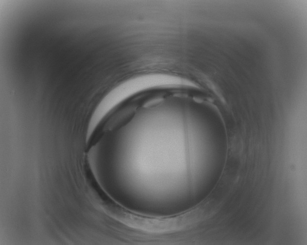 X0000083040027200702091420