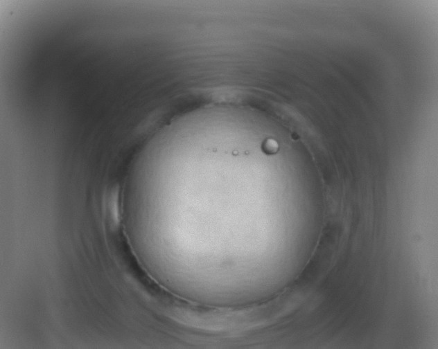 X0000083040028200702091420