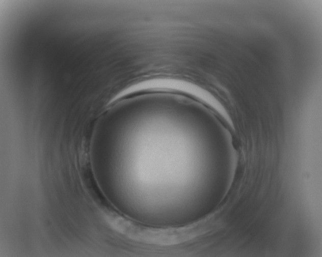 X0000083040029200702091420