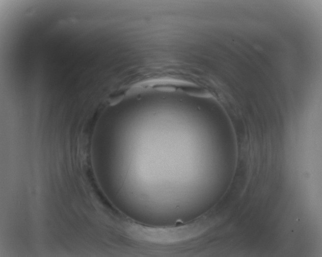 X0000083040030200702091420