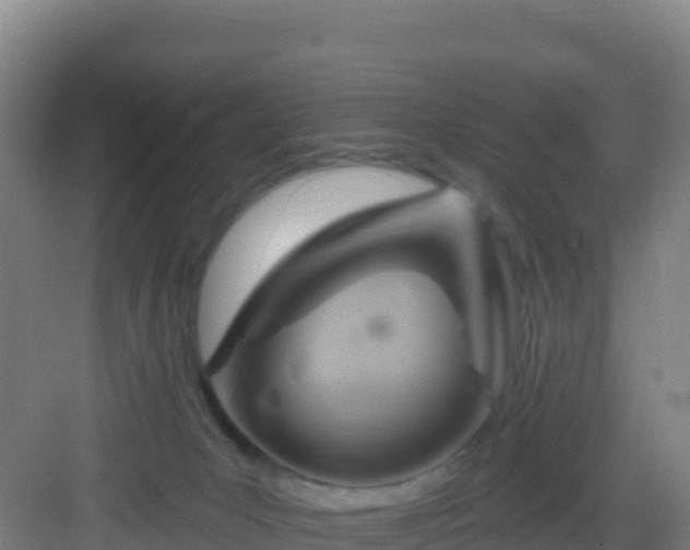 X0000083040031200702091420