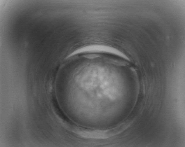 X0000083040032200702091420