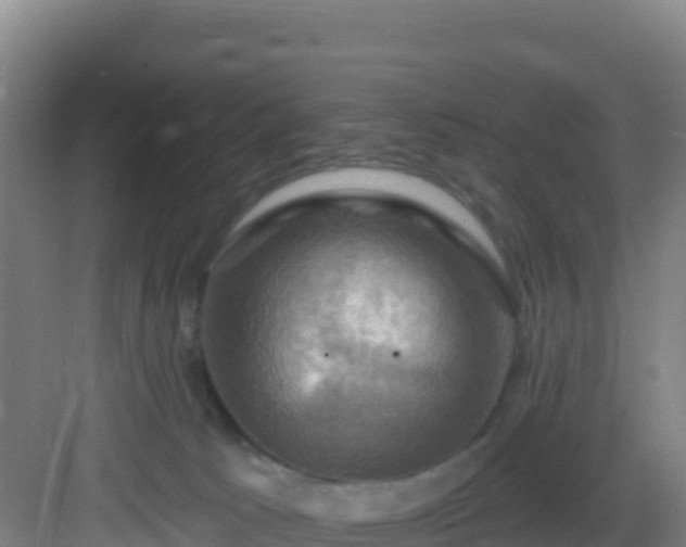 X0000083040033200702091420