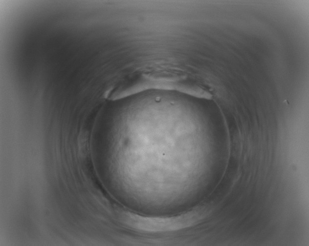 X0000083040034200702091420