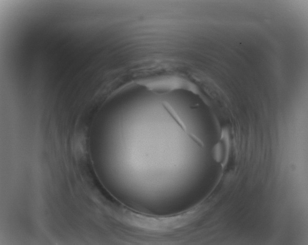 X0000083040035200702091420