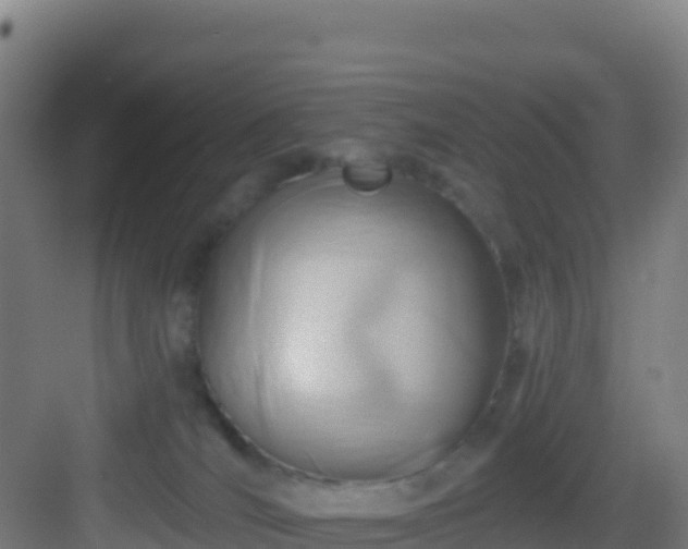 X0000083040036200702091420