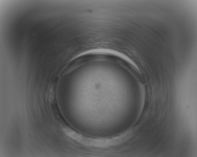 X0000083040037200702091420