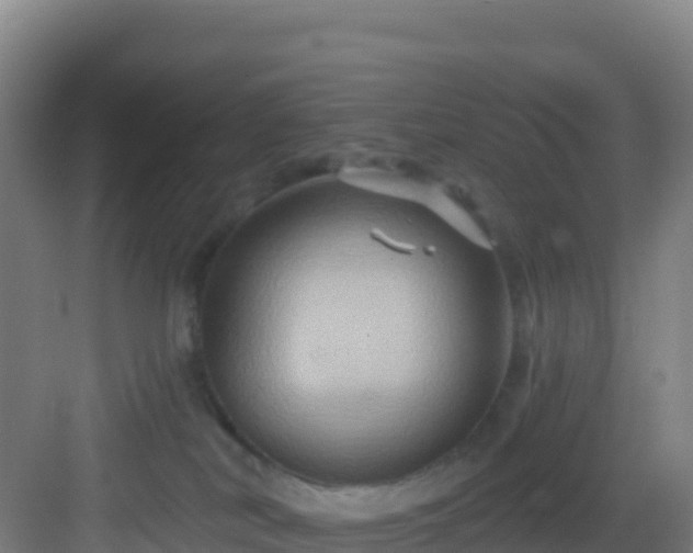 X0000083040038200702091420