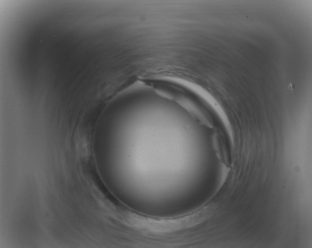 X0000083040039200702091420