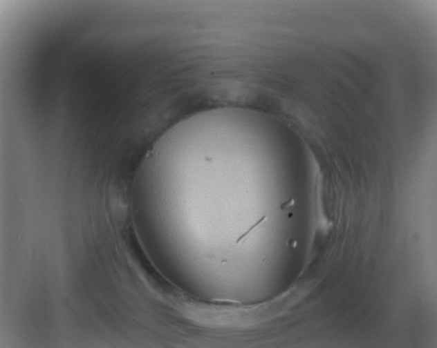 X0000083040040200702091420